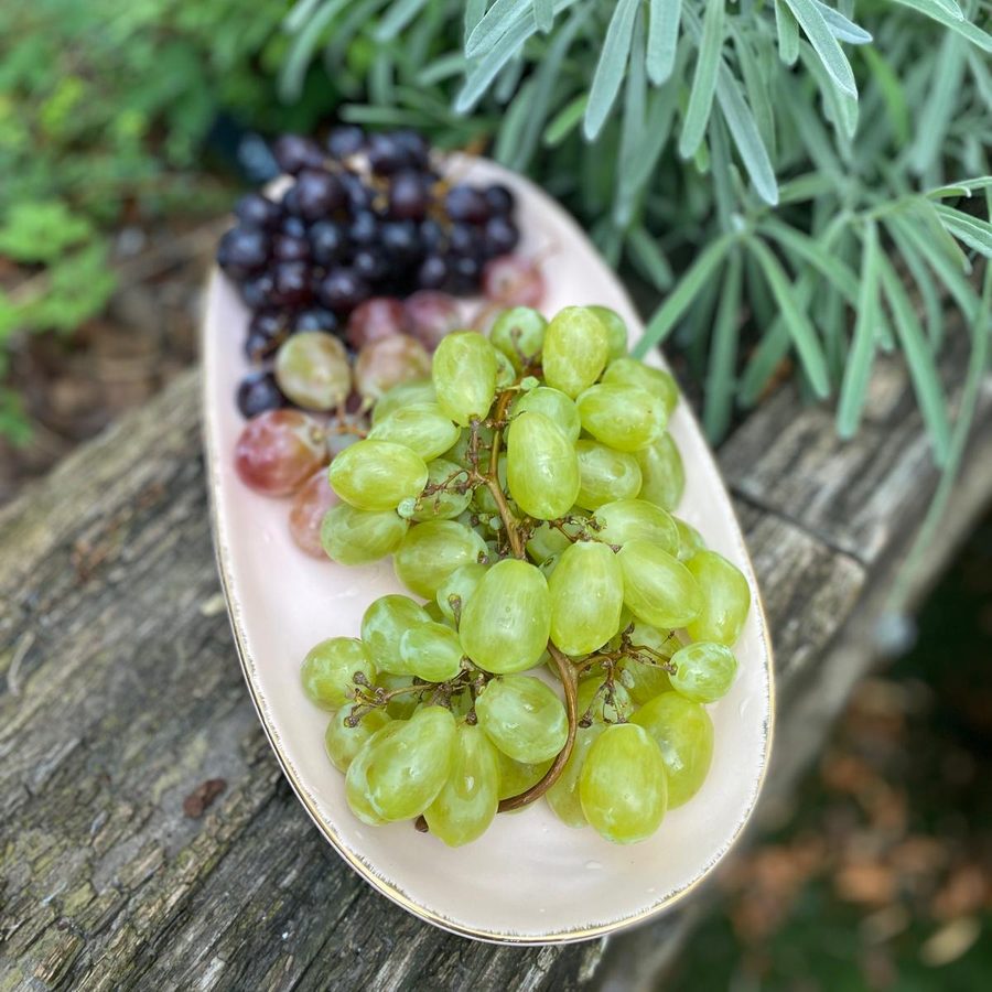 Une assiette du matin garnie de fruits frais varies, servis seuls.