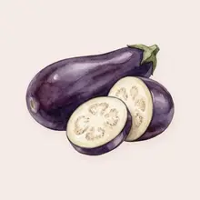 Aubergine à l'aquarelle