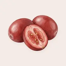 Canneberges à l'aquarelle