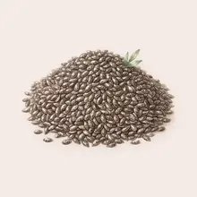 Chia à l'aquarelle
