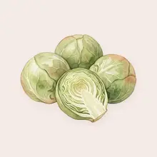 Chou de Bruxelles à l'aquarelle