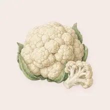 Chou-fleur à l'aquarelle