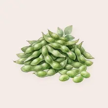 Edamame à l'aquarelle