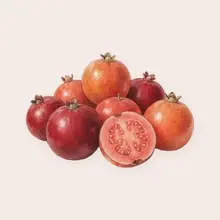 Goyave-fraise à l'aquarelle