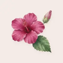 Hibiscus à l'aquarelle