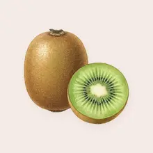 Kiwi à l'aquarelle