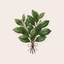 Maté à l'aquarelle