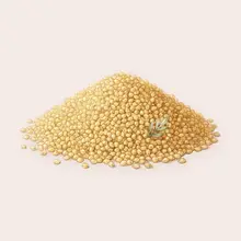 Millet à l'aquarelle