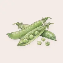 Petits pois à l'aquarelle