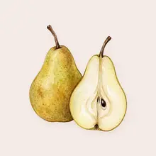 Poire à l'aquarelle