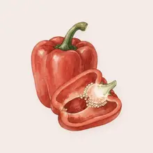 Poivron à l'aquarelle