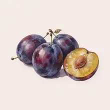 Prune à l'aquarelle