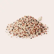 Quinoa à l'aquarelle