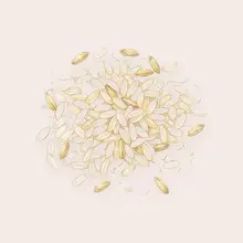Riz à l'aquarelle