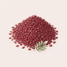 Sumac à l'aquarelle