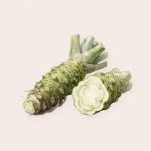 Wasabi à l'aquarelle